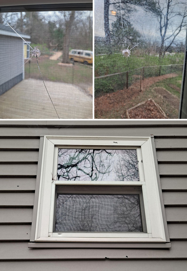 infuriating-bad-neighbors-8-66f5029056d55__700