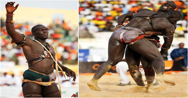 la-lutte-senegalaise-sport-senegal