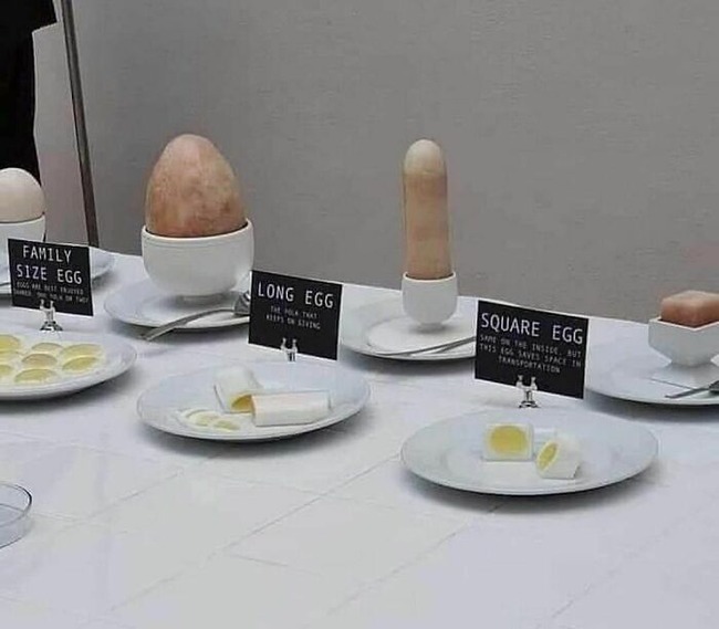 CShg4kTFO33-png__700 (1)