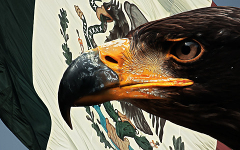 mexican_eagle__by_riikardo-d49j962