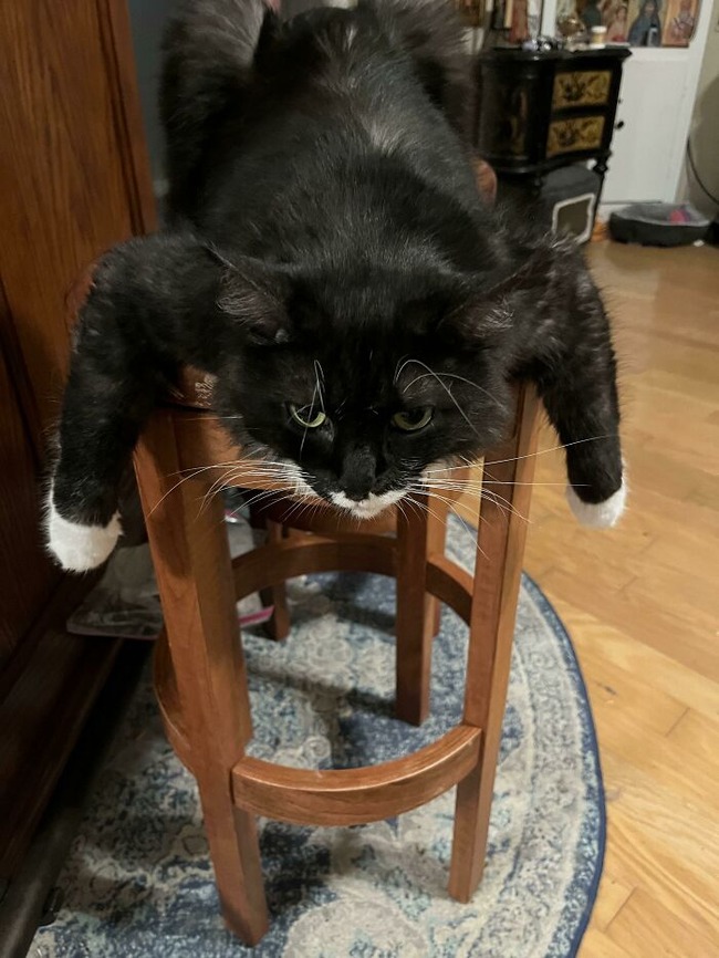 63725f3d378d4_exv6ziy6w4m91__700