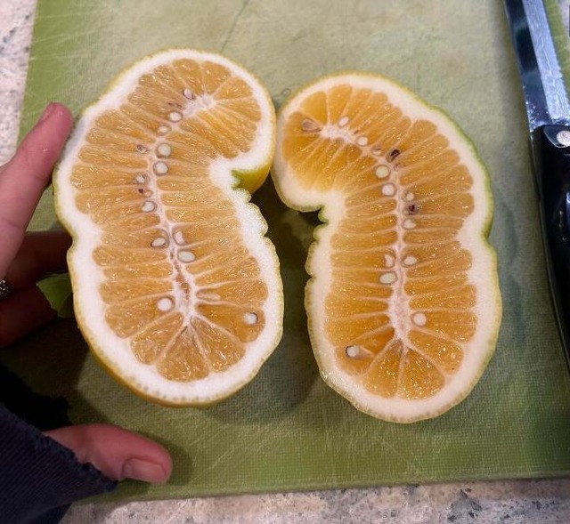 ggg