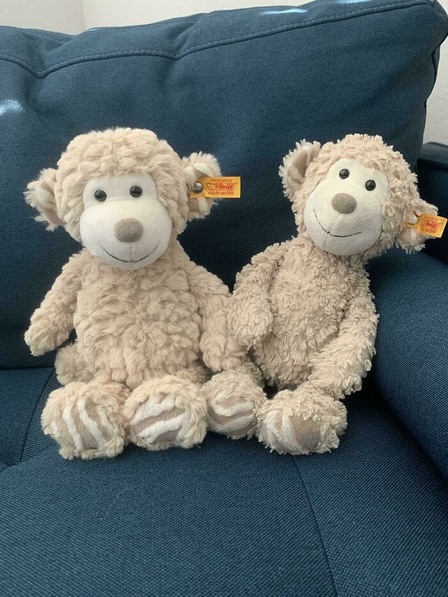 665d79cf4f84d_iimxfn3afj9c1-jpeg__700