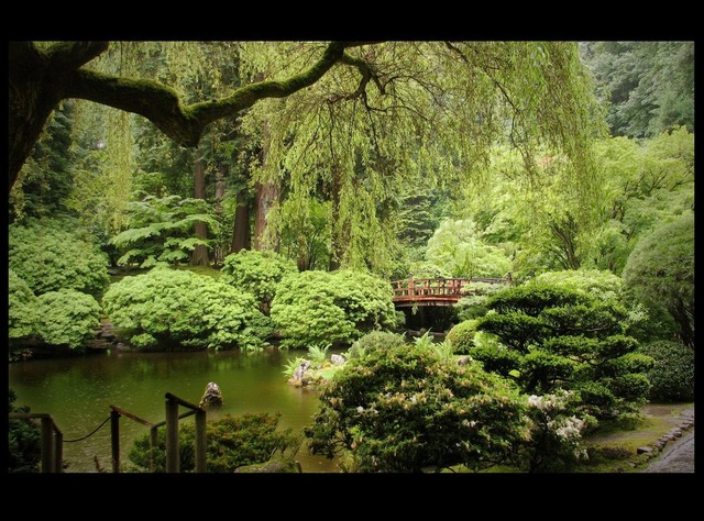 japanese_garden_by_natronics
