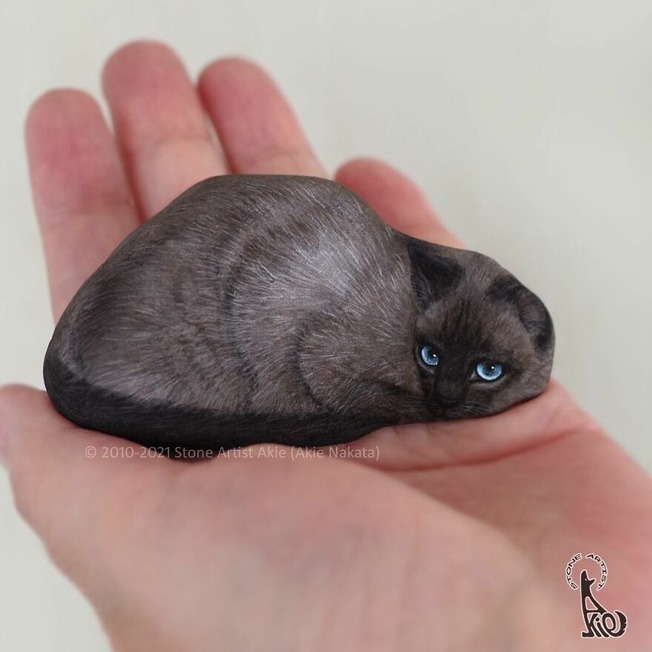 Akie-Nakata-Japanese-artist-turns-stones-into-art