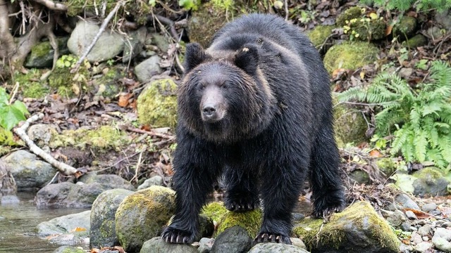 img_49d359aebe4fbe2542badd80e52a