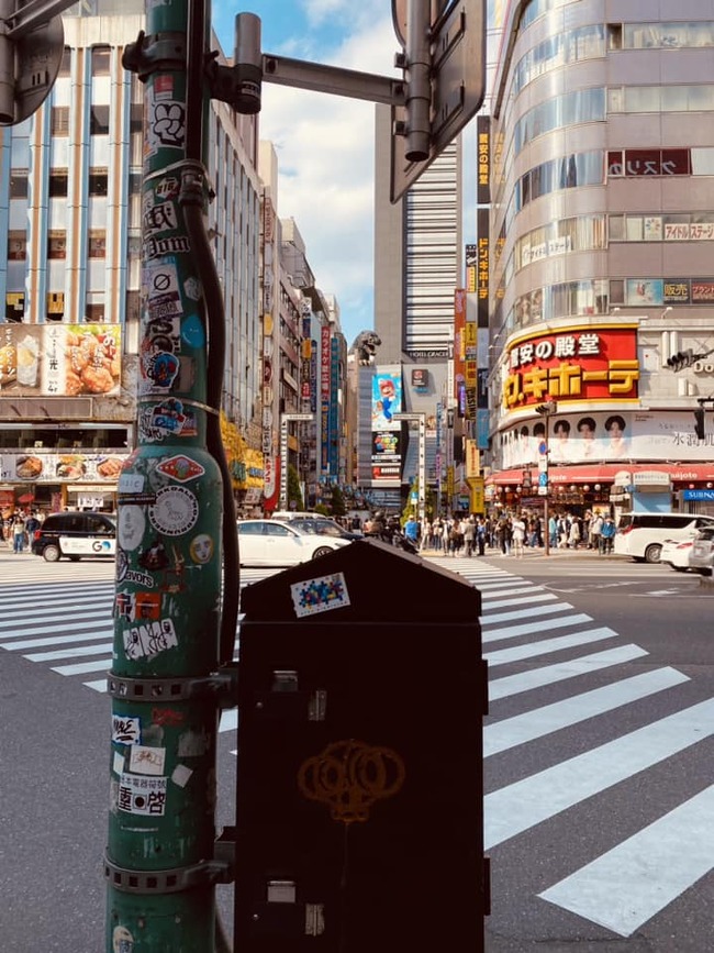 347637355_260772049854303_7644665455859910478_n