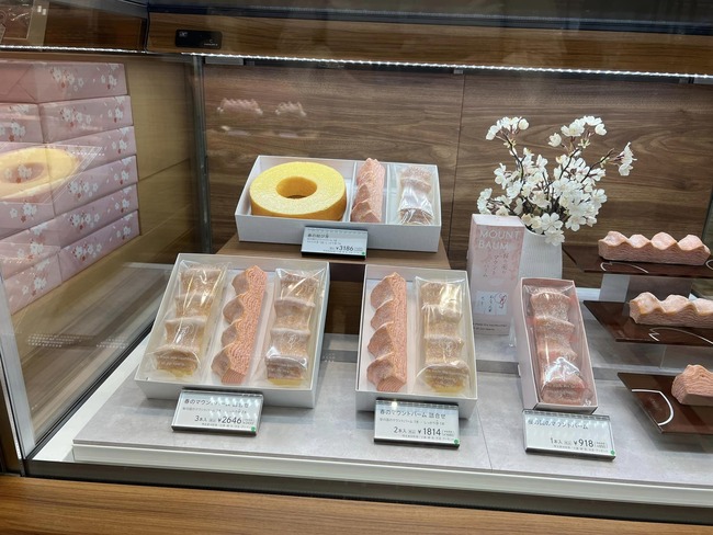 440758125_10161098262421999_6116742374733129136_n