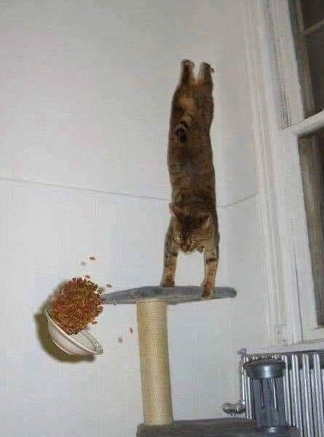 images-with-no-context-63e660778ec5a__700