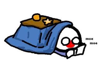 JAPAN POLANDBALL KOTATSU