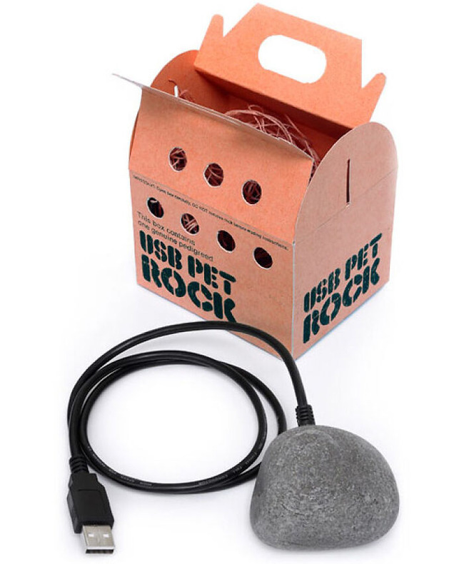 usb_pet_rock-64c3a9e72b739__700