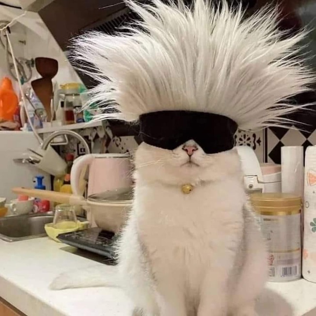 240240504_4508138962571241_1553078468697810393_n