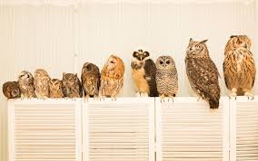 ダウンロード (3)