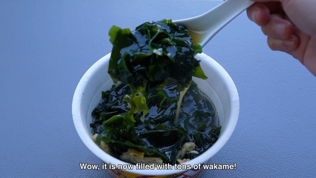 10 more Japanese Instant Food