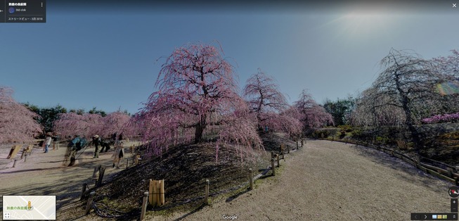 ume