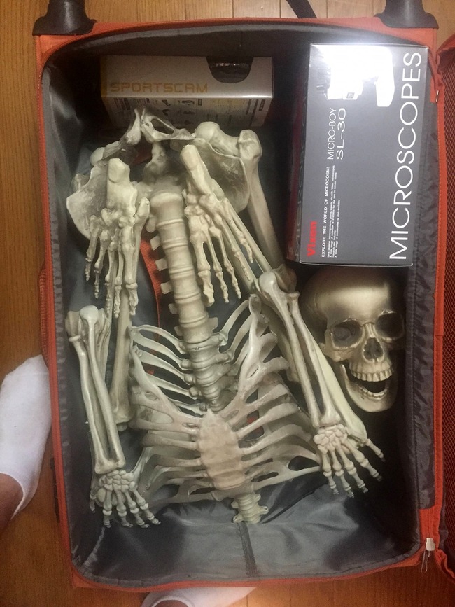 417450672_10160085312709118_5659838861875763725_n