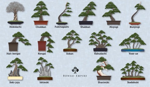 bonsai-styles