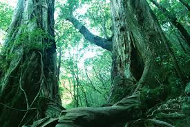 images (2)