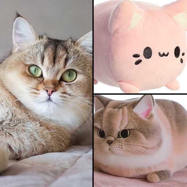 14-636e0646ec6b0-png__880