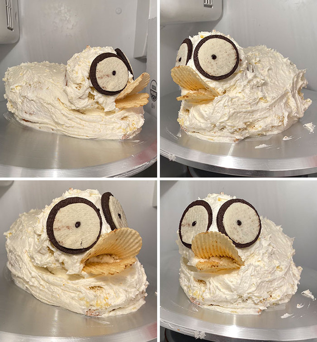 cake-funny-fails-54-65ba636c4a4b6__700