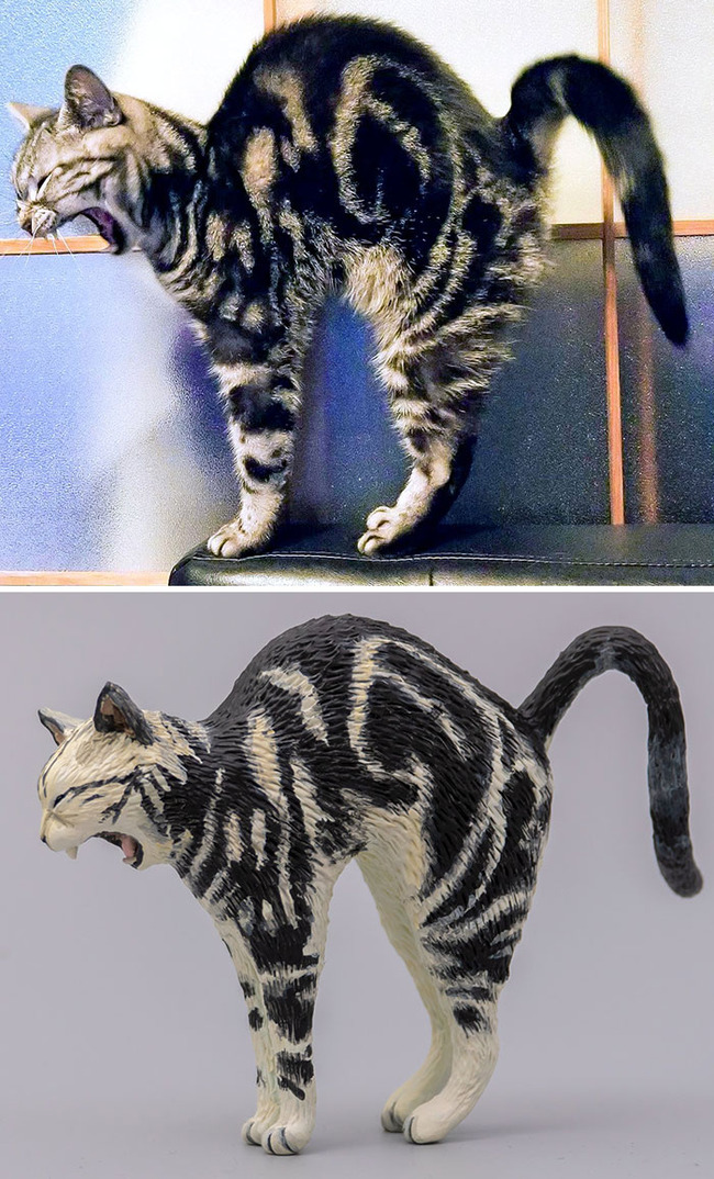 animals-funny-sculptures-meetissai-6246c8731c3f7__700