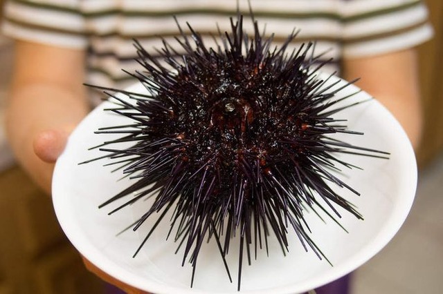 69ca21276e50d_s4q161nipcge1__880