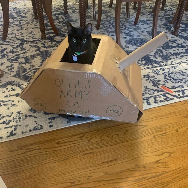 quarantined-owners-build-cardboard-cat-tanks-5eaa749b5589a__700