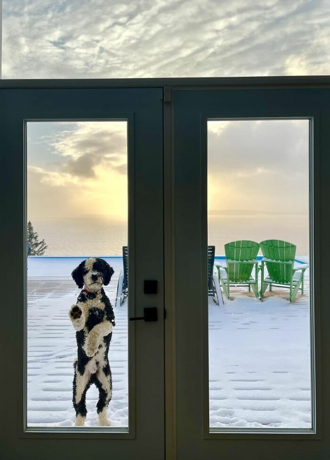 view-from-your-window-642ab39a234e2__700 (2)