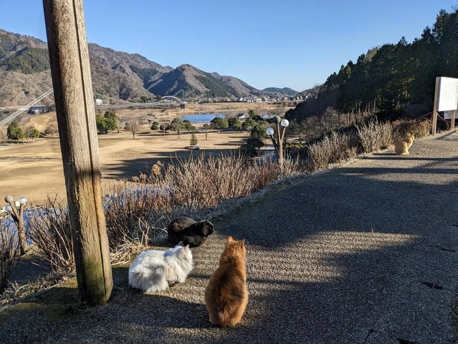 XWyzy0gE27XocOe6rigQXzOQCz6Rc4u4 (1)