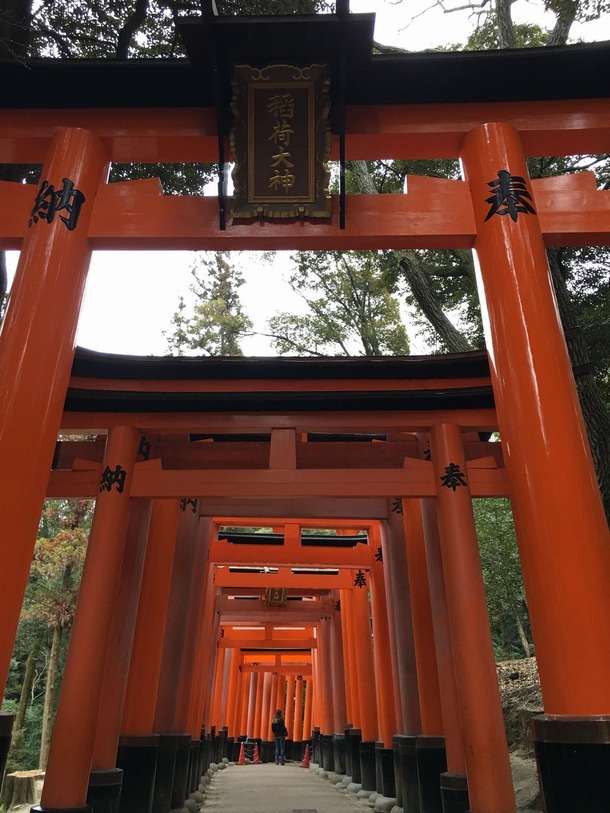 22 - Inari Shrine Kyoto