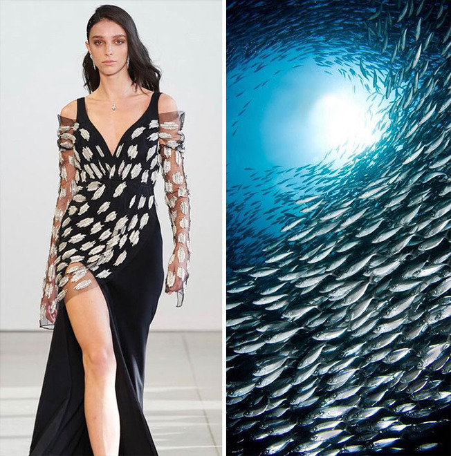 parallels-between-fashion-and-nature