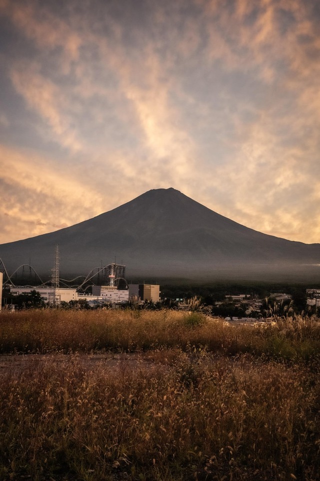 my-japan-trip-october-2025-in-20 (1)