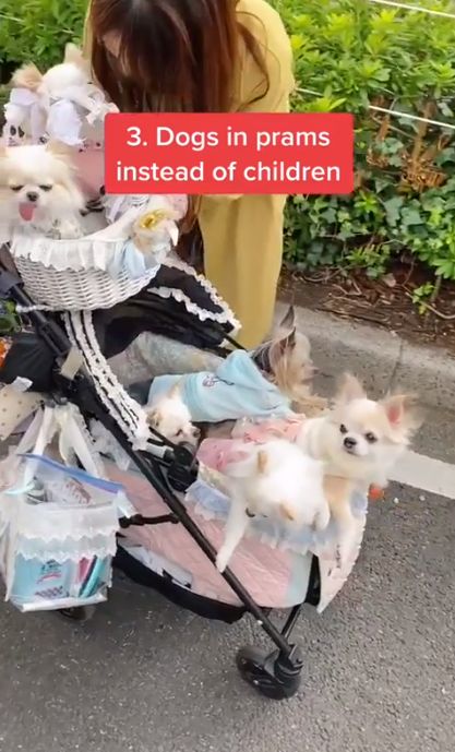 Unusual things that are normal in Japan