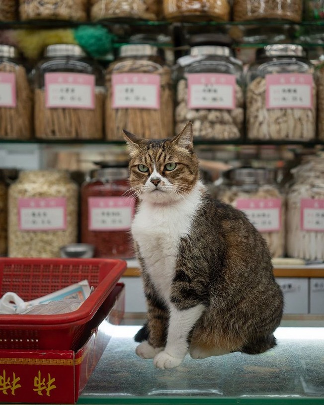 240737411_10161817361081840_2386780855873973937_n