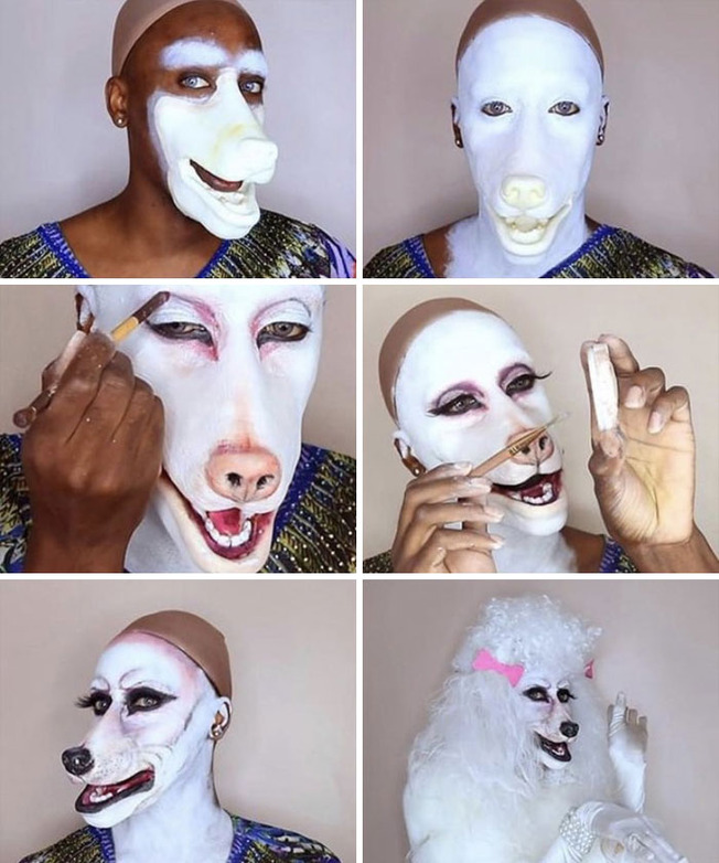 funny-diy-awful-taste-great-execution-173-608ab798acae6__700
