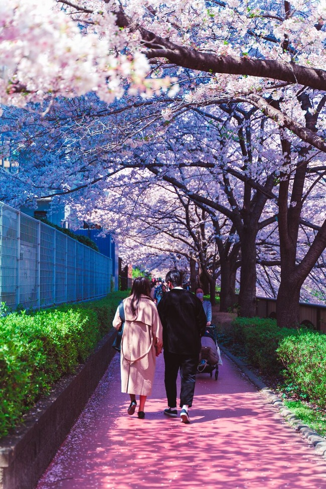 2-64fedf0dbcdfe__880 (1)