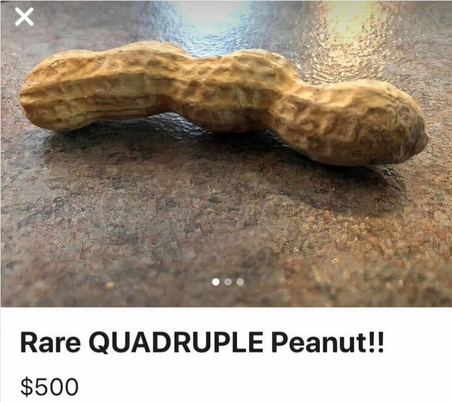 67e69131211f8_ridiculous-facebook-marketplace-items