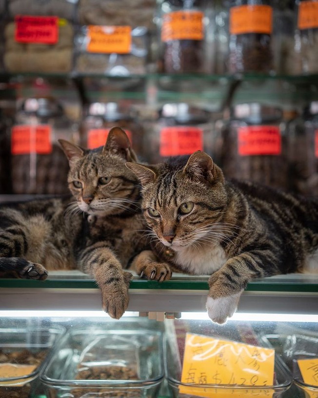 241373552_10161817360526840_2681440833007003392_n