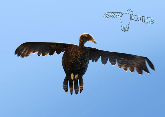 kiddie-arts-telmo-pieper-5