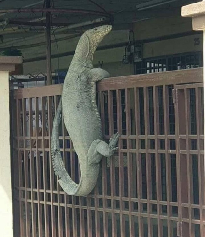 273113884_5443222015695066_2725139614574281414_n