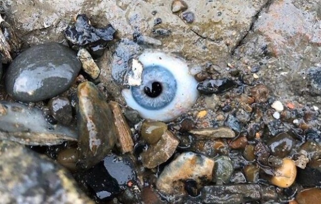 6551f35579178_unsettling-things-people-found