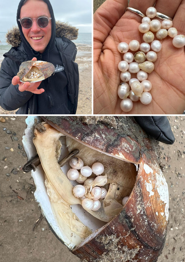unexpected-finds-in-beach-2-65269a989128e__700