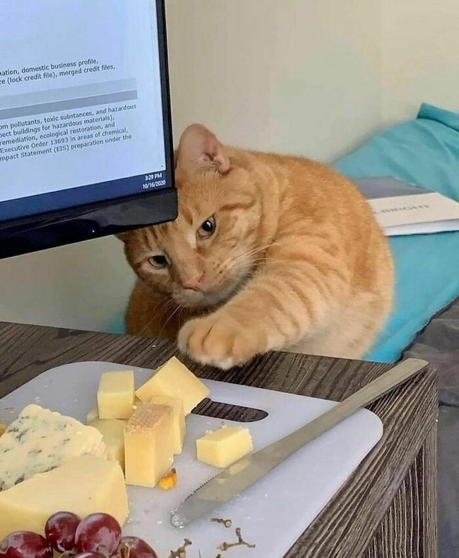 CgOee0WMJt5-png__700