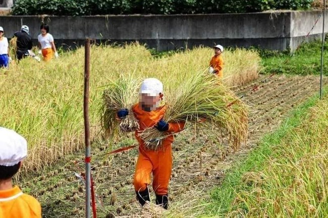 385259081_892717175603253_3311933229401418483_n