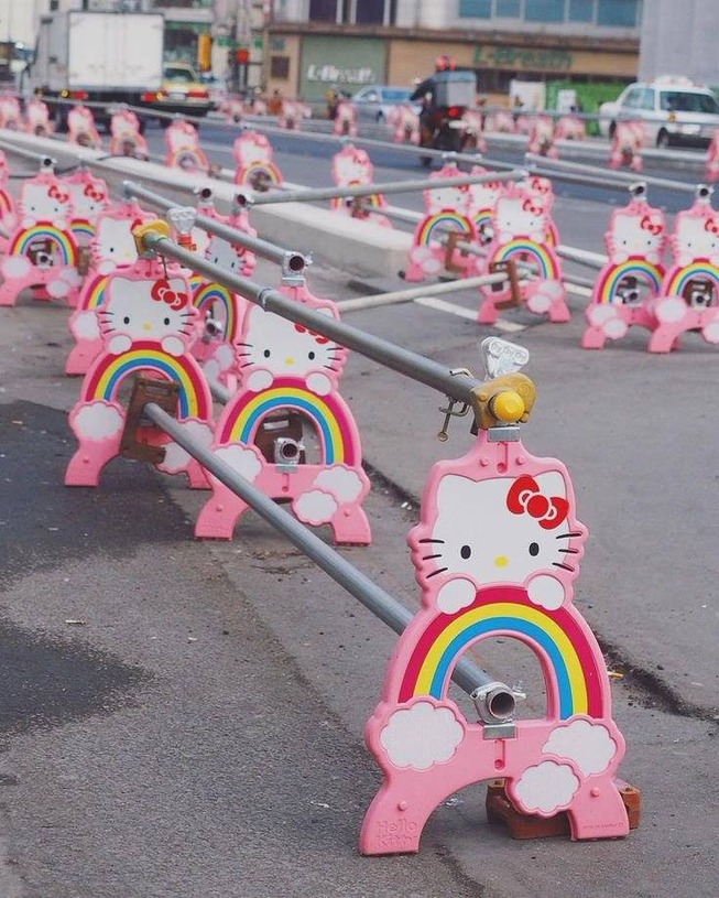 53888994_2572150509479155_1998248914741886976_n