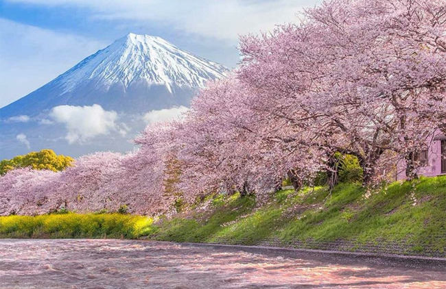 stunning-amazing-earth-pics-1-655e1d5fa67b6-png__700