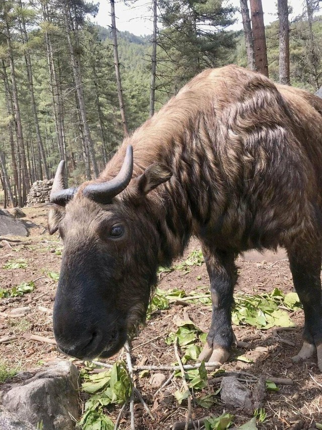 68d102005a2a3_mtqwf6e2hmif1__880