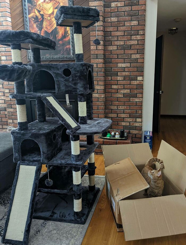 spoiled-pets-4-6777e60508091__700