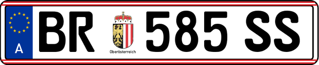 1565626019580 (1)
