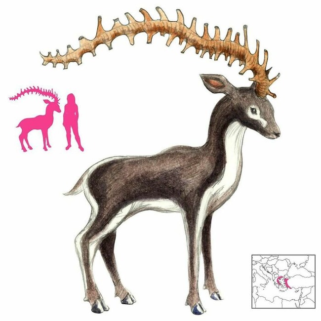 CSbP8iPpj0V-png__700